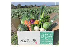 新鮮朝採れ野菜セット