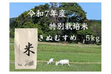 【2025年10月上旬より順次発送】鳥取県産特別栽培米「きぬむすめ」　令和７年産米