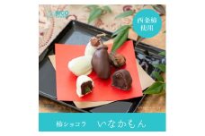 NiCO sweetsニコスイーツ　いなかもん（柿ショコラ）