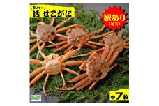 鳥取県産　訳あり（足欠け）活せこがに（中）（7枚）