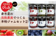 倉吉産の完熟果実でつくる本格ジャムセットA（計6個） ジャム ジャム詰め合わせ 国産 無添加 セット ブルーベリージャム いちごジャム 無添加ジャム 鳥取県 倉吉市