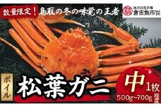 【倉吉魚市】ボイル松葉がに（中）  松葉ガニ カニ ズワイガニ カニ爪  冷蔵 かにしゃぶ カニ刺身 ずわいがに 鮮度抜群 国産 高級 ボイル 鳥取県 倉吉市