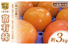 【数量限定】 富有柿 （約3kg） 柿 果物 フルーツ ふゆうがき 高糖度 甘カキ 甘柿 ポリフェノール タンニン 期間限定 数量限定 鳥取県 倉吉市