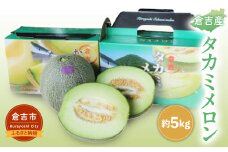 タカミメロン【倉吉産】 5kg （2025年） 果物 フルーツ メロン タカミメロン 数量限定 期間限定 鳥取県 倉吉市
