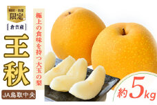 王秋 【倉吉産】5kg（JA鳥取中央） 梨 なし ナシ おうしゅう 王秋 ブランド梨 鳥取 5kg 果物 フルーツ 和梨 先行予約 数量限定 詰め合わせ 人気 甘い