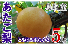 あたご梨 【倉吉産】5kg（JA鳥取中央） 梨 ナシ なし 鳥取 果物 フルーツ 和梨 先行予約 数量限定 詰め合わせ 人気 甘い 大玉 あたご梨