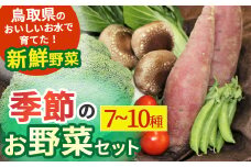季節のお野菜セット（7〜10種）  野菜 やさい 国産野菜 野菜便 野菜詰め合わせ 季節野菜 フレッシュ野菜 旬の野菜  鳥取県産品