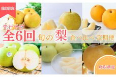 【先行予約】 梨王国 2025 旬の梨 食べ比べ 全6回定期便 合計約28kg（鳥取県産）梨 なし 和梨 先行予約 数量限定 定期便 フルーツ 果物 季節の果物 季節のフルーツ なつひめ 新甘泉 二十世紀梨 秋甘泉 王秋 あたご梨 食べ比べ 20世紀梨