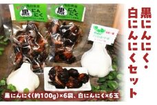 黒にんにく・白にんにくセット にんにく ニンニク セット 鳥取県 倉吉市
