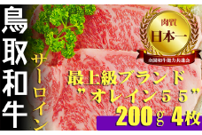 鳥取和牛 最上級Ａ５ランク オレイン５５　牛サーロインステーキ（大） 国産 牛肉 和牛 黒毛和牛 サーロイン ステーキ