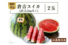 倉吉スイカ 2玉 【JA鳥取中央】 すいか 鳥取 大玉 2玉 果物 フルーツ スイカ 数量限定 期間限定