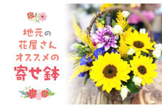 地元の花屋さんオススメの寄せ鉢 花 生花 お花 花束 ギフト 寄せ鉢 鳥取県 倉吉市