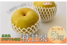 秋甘泉 （5kg）【倉吉産】 鳥取 梨 なし ナシ ブランド梨 あきかんせん 秋甘泉 果物 フルーツ 和梨 先行予約 数量限定 詰め合わせ 秋甘泉 甘い