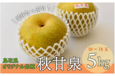 秋甘泉 （5kg）【倉吉産】 鳥取 梨 なし ナシ ブランド梨 あきかんせん 秋甘泉 果物 フルーツ 和梨 先行予約 数量限定 詰め合わせ 秋甘泉 甘い