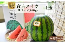 倉吉スイカ1玉 （JA鳥取中央）3Lサイズ すいか 鳥取 大玉 果物 フルーツ スイカ 数量限定 期間限定