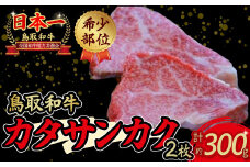 鳥取和牛 希少部位ステーキ「カタサンカク」 牛肉 希少 サンカク 国産牛 和牛 黒毛和牛