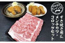 鳥取和牛 オレイン５５ すき焼き用＆メンチカツ・コロッケセット 国産 牛肉 和牛 黒毛和牛