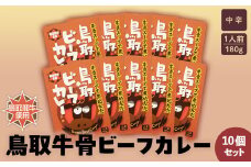 鳥取ビーフカレー10 個セット 鳥取和牛 和牛 黒毛和牛 牛骨 国産 牛肉 カレー レトルト