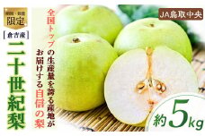 二十世紀梨 【倉吉産】5kg（JA鳥取中央） 梨 鳥取 果物 フルーツ 和梨 先行予約 数量限定 詰め合わせ 二十世紀梨 20世紀梨