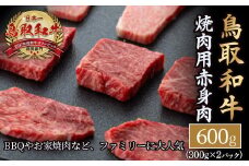 鳥取和牛 焼肉用赤身肉 600ｇ 国産 牛肉 焼肉 小分け 赤身 ウデ モモ バーベキュー 和牛 黒毛和牛