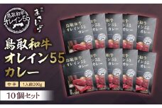 鳥取和牛 オレイン55 カレー 10 個セット 和牛 黒毛和牛 国産 牛肉