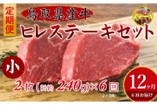 鳥取県産牛 ヒレステーキ6回定期便 <奇数月> 国産 牛肉 赤身 ヒレ ステーキ 冷凍 定期便 肉 おすすめ 希少部位 ブランド牛 フィレ 倉吉市