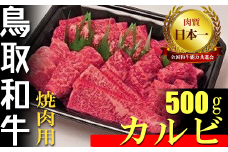鳥取和牛 焼肉用 カルビ 500g 国産 牛肉 焼肉 和牛 上カルビ 黒毛和牛