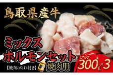 鳥取県産牛　焼肉用ミックスホルモンセット 国産 ホルモン 焼肉 小分け