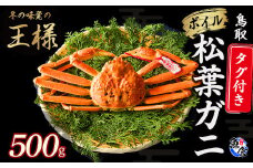 【先行予約】【魚倉】タグ付きボイル松葉ガニ（500g） 冷蔵 カニ ボイル 松葉ガニ タグ付き 新鮮 カニ爪 ズワイガニ ずわいがに 国産 鮮度抜群 鳥取県 倉吉市
