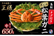 【先行予約】【魚倉】タグ付きボイル松葉ガニ（中650g）冷蔵 カニ ボイル 松葉ガニ タグ付き 新鮮 カニ爪 ズワイガニ ずわいがに おすすめ 国産 鮮度抜群 鳥取県 倉吉市