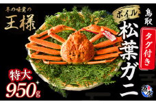 【先行予約】【魚倉】タグ付きボイル松葉ガニ（特大950g）冷蔵 カニ ボイル 松葉ガニ タグ付き 新鮮 ボイル ズワイガニ ずわいがに 鮮度抜群 高級 特大 国産 鳥取県 倉吉市