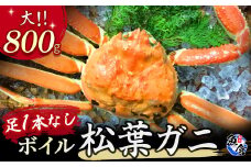 【先行予約】【魚倉】足１本なしボイル松葉ガニ（大800g）訳あり 松葉ガニ カニ ズワイガニ カニ爪 ボイル 冷蔵 ずわいがに 国産 わけあり 足かけ 足欠け 鮮度抜群 鳥取県 倉吉市