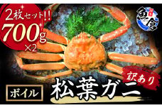 【魚倉】訳ありボイル松葉ガニ２枚セット 冷蔵 カニ ボイル 松葉ガニ タグ付き 新鮮 訳あり ズワイガニ カニ爪 期間限定 ずわいがに わけあり 国産 鳥取県 倉吉市