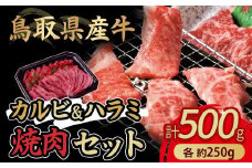 鳥取県産牛 カルビ&ハラミ焼肉セット 国産 牛肉 焼肉 カルビ ハラミ セット 肉 鳥取県 倉吉市
