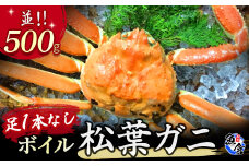 【先行予約】【魚倉】足１本なしボイル松葉ガニ（並500g） 訳あり 松葉ガニ カニ ズワイガニ カニ爪 ボイル 冷蔵 ずわいがに 国産 わけあり 足欠け 足かけ 鮮度抜群 鳥取県 倉吉市