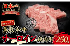 鳥取和牛 オレイン55 サーロイン焼肉用 国産 牛肉 和牛 サーロイン 焼肉 黒毛和牛