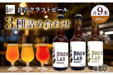 ＢＲＥＷ　ＬＡＢ　クラフトビール　３種詰め合わせ（９本） ビール クラフトビール 地ビール ipa ペールエール ゴールデンエール 鳥取県 倉吉市 珍しい 美味しい ビール党 クラフトビア 手作り おすすめ 飲み比べ 詰め合わせ 大容量