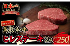 鳥取和牛 オレイン55 ヒレステーキ250g 牛肉 ヒレ ヒレステーキ 和牛 国産牛 ステーキ 黒毛和牛 肉 国産 ブランド牛 赤身 希少部位 最高級部位 鳥取県 倉吉市