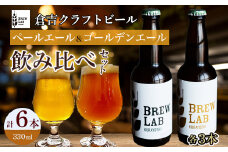 ＢＲＥＷ　ＬＡＢ　クラフトビール【６本セット】 ビール クラフトビール 地ビール ペールエール ゴールデンエール 鳥取県 倉吉市 珍しい 美味しい ビール党 クラフトビア 手作り おすすめ 飲み比べ 詰め合わせ 大容量