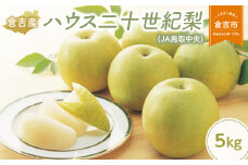 ハウス二十世紀梨【倉吉産】5kg（JA鳥取中央） 鳥取 梨 果物 フルーツ 和梨 先行予約 数量限定 詰め合わせ 二十世紀梨 20世紀梨 人気 甘い 今が旬