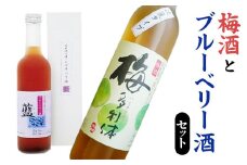 梅酒とブルーベリー酒セット 梅酒 日本酒 カクテル ブルーベリー 鳥取県 倉吉市 梅 スッキリ 爽やか アルコール 生絞り 清涼飲料 炭酸 冷水 フルーティー