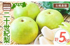 二十世紀梨【鳥取県産】5kg（生橋農園） 梨 鳥取 5kg 果物 フルーツ 和梨 先行予約 数量限定 詰め合わせ 二十世紀梨 20世紀梨