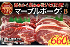 マーブルポークセットＢ（計660g）  国産 豚肉 ポーク とんかつ トンカツ 豚カツ 生姜焼き マーブルポーク