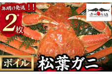 【赤碕町漁業協同組合】 ボイル松葉ガニ 2枚  年明け発送  着日指定不可 松葉ガニ カニ ズワイガニ カニ爪 冷蔵 かにしゃぶ カニ刺身 ずわいがに 鮮度抜群 国産 高級 鳥取県 倉吉市