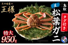 【先行予約】【魚倉】タグ付き生松葉ガニ（特大950g） 松葉ガニ カニ ズワイガニ カニ爪 タグ付き 冷蔵 蟹 ずわいがに 特大 国産 鮮度抜群 鳥取県 倉吉市