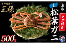 【先行予約】【魚倉】タグ付き生松葉ガニ（500g） 松葉ガニ カニ ズワイガニ カニ爪 タグ付き 冷蔵 かにしゃぶ カニ刺身 ずわいがに 生 鮮度抜群 期間限定 鳥取県 倉吉市