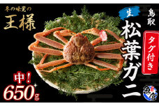 【先行予約】【魚倉】タグ付き生松葉ガニ（中650g） 松葉ガニ カニ ズワイガニ カニ爪 タグ付き 冷蔵 かにしゃぶ カニ刺身