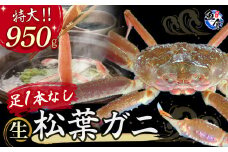 今だけ限定価格！【11月より値上げ】【先行予約】【魚倉】足１本なし生松葉ガニ（特大950g） 訳あり 松葉ガニ カニ ズワイガニ カニ爪 冷蔵 かにしゃぶ カニ刺身 新鮮 鳥取 倉吉 特大 大容量 限定価格 限定寄付額 値上対象