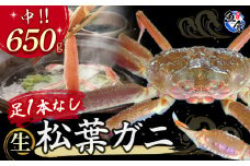 【先行予約】【魚倉】足１本なし生松葉ガニ（中650g） 訳あり 生 松葉ガニ カニ ズワイガニ カニ爪 冷蔵 かにしゃぶ カニ刺身 刺身 冷蔵 鳥取 倉吉 倉吉市
