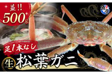 【先行予約】【魚倉】足１本なし生松葉ガニ（並500g） 訳あり 松葉ガニ カニ ズワイガニ カニ爪 冷蔵 かにしゃぶ カニ刺身 国産 わけあり 足欠け 足かけ 鮮度抜群 鳥取県 倉吉市